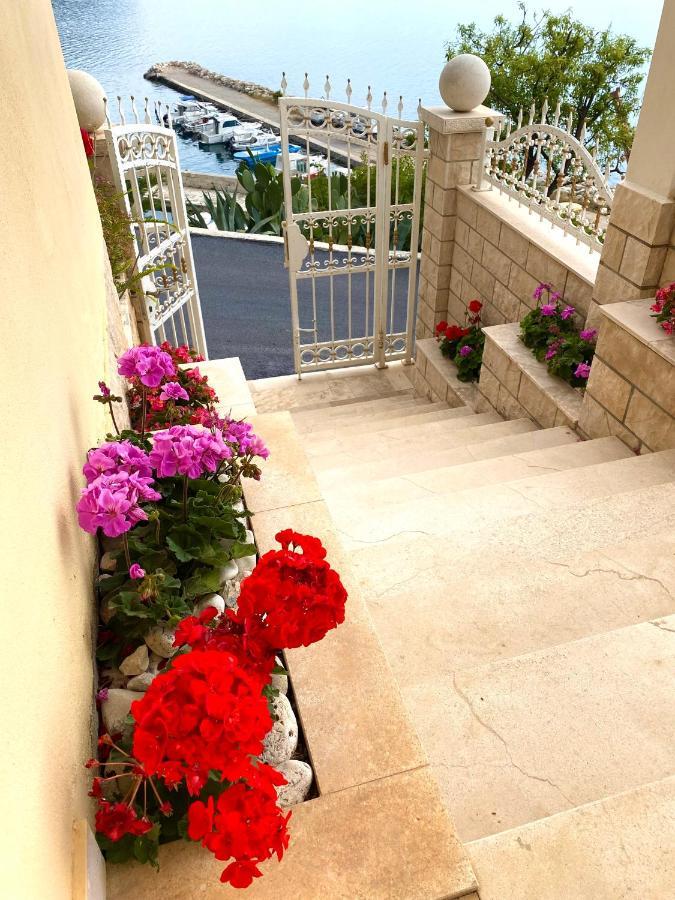 Apartment Apartments&rooms Katarina